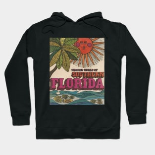 Sunny wonder Florida t-shirts, bags, hats, mugs, hoodie, sticker Hoodie